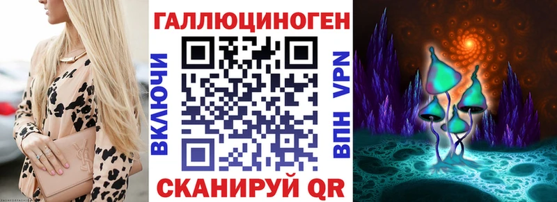 Галлюциногенные грибы Psilocybine cubensis  Новая Ладога 